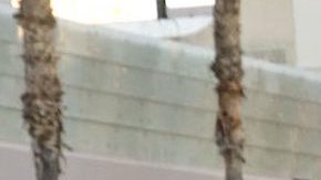 Adamari López, conductora de Telemundo, desde Los Ángeles.