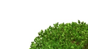 Una prueba podría detectar el Alzheimer tres años antes del diagnóstico médico