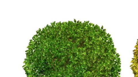 Una prueba podría detectar el Alzheimer tres años antes del diagnóstico médico