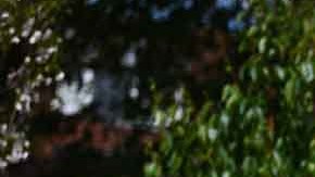 Los signos del zodiaco se reflejan en la manera de organizar y festejar un enlace nupcial