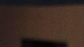 Brandon Vázquez y Alejandro Zendejas celebran un gol con Estados Unidos.