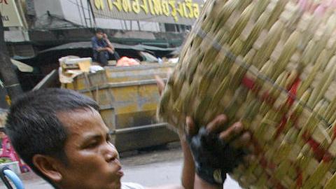 Científicos buscan convertir en “oro” los residuos de la comida