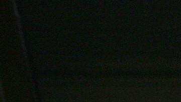 Científicos estudian a uno de los dinosaurios mejor conservados, aún tiene piel de su cara