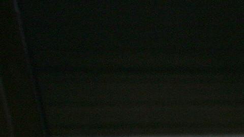 Científicos estudian a uno de los dinosaurios mejor conservados, aún tiene piel de su cara