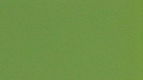 Cliente de Taco Bell casi muere al consumir burritos con veneno para ratas y se investiga si fue colocado deliberadamente