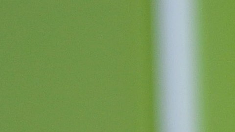 Cliente de Taco Bell casi muere al consumir burritos con veneno para ratas y se investiga si fue colocado deliberadamente