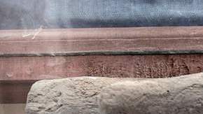 Cocodrilos momificados emergen de tumba egipcia