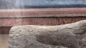 Cocodrilos momificados emergen de tumba egipcia