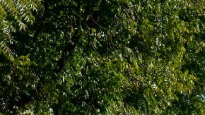 Comunidad de Jesús María