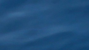 Contaminación acústica generada por el hombre obliga a los delfines a "gritan" para hacerse oír