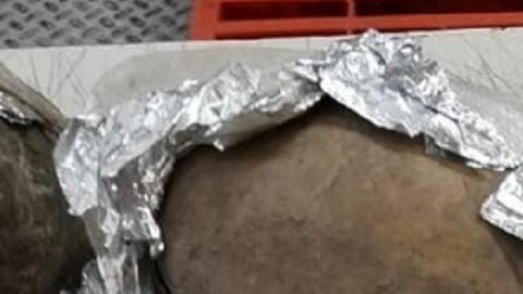 Los cráneos fueron hallados en un paquete.