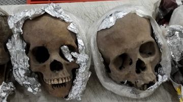 Los cráneos fueron hallados en un paquete.