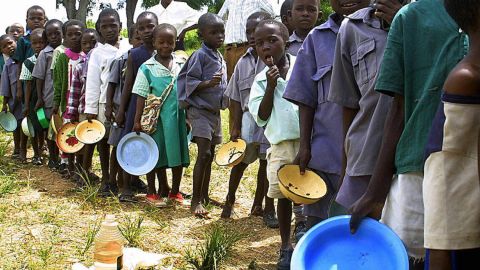 Crisis alimentaria mundial pone en peligro la vida de millones de niños: ONU