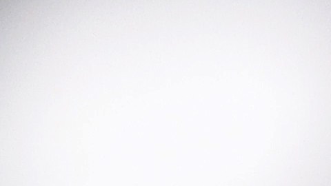 Al finalizar este año la concentración de nuevos inmigrantes indocumentados en Nueva York llegaría a 100,000