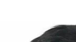 Delincuentes extraditados a EE.UU.