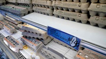 Descubren contrabando de huevo mexicano hacia EEUU por subida de precios