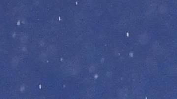 Diego Lainez uniformado con los colores del Betis.