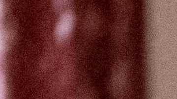 Eric Adams tuvo que desplazarse hasta El Paso para entender la razón de que tantos inmigrantes estén arribando a Nueva York