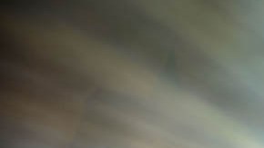 Entre las personas de algunos signos se ha detonado la necesidad de encontrar nuevas parejas, aunque algunas parezcan descabelladas