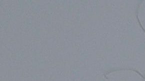 Flor Amargo en el aniversario 79 del Hipódromo De Las Américas en Ciudad de México.