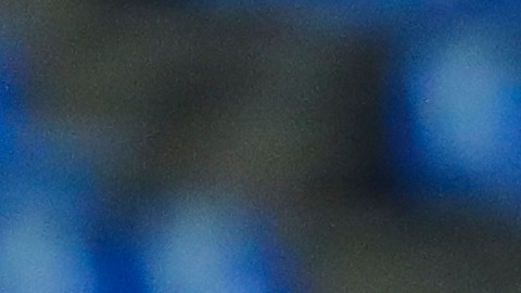 Florian Thauvin se desvinculó de Tigres.