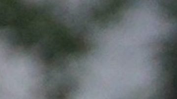 Gerard Piqué y Shakira cuando aún eran pareja en el 2019.