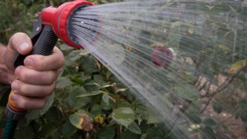 BATH, ENGLAND - JULY 17: In this photo illustration a man adjusts uses a hosepipe sprinkler to water his plants in a garden of a house in the village of Priston on July 17, 2018 near Bath, England. Seven million residents in the north west of England are currently facing a hosepipe ban due to the heatwave and water companies in other areas of the UK are continuing to urge customers to to be use water wisely in the ongoing hot, dry conditions.(Photo by Matt Cardy/Getty Images)