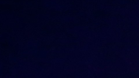 Dos trabajadores de Servicios Médicos en Illinois son acusados de asesinato por muerte de paciente atado boca abajo en una camilla