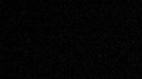 Kamala Harris celebrará el 50 aniversario de Roe vs Wade en Florida.