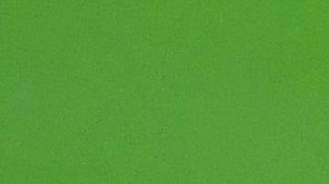 Trofeo del Mundial de Clubes.