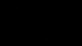 Congresistas republicanos presentan proyecto de ley para prohibir TikTok en Estados Unidos