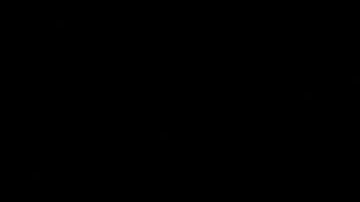 Congresistas republicanos presentan proyecto de ley para prohibir TikTok en Estados Unidos