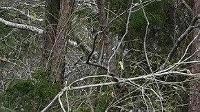 El estado de Alabama es afectado regularmente por tornados.