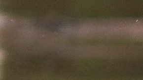 VIDEO: Perro arrastrado por un desagüe tras torrenciales lluvias rescatado por bomberos de California