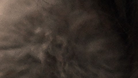 Médico en Alemania va a prisión por otorgar ilegalmente a miles de personas exenciones del uso de mascarillas