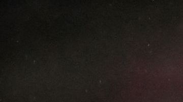 Gavi y Xavi Hernández del FC Barcelona.