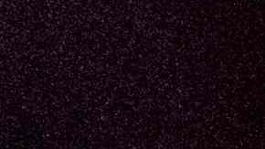 La lucha libre mexicana está de luto por la muerte de Black Warrior.