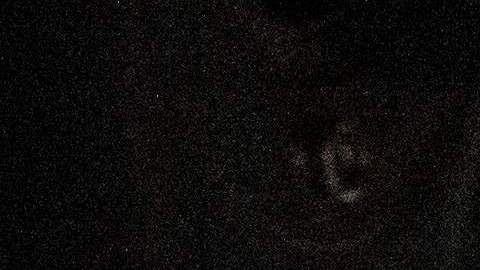 Hombre en Massachusetts es señalado de posiblemente matar a su esposa tras su desaparición en Año Nuevo