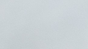 Unos 30,000 votantes afroamericanos fueron cambiados de distrito en Carolina del Sur para las elecciones.