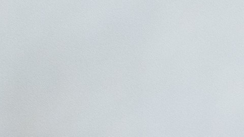 Unos 30,000 votantes afroamericanos fueron cambiados de distrito en Carolina del Sur para las elecciones.