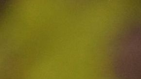 Ramírez es internacional con Colombia.