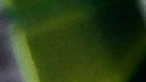 La bolsa de la lotería Mega Millions sigue creciendo.