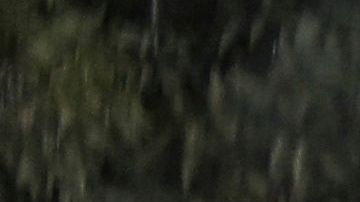 Murillo Karam es la figura de mayor rango detenida hasta el momento