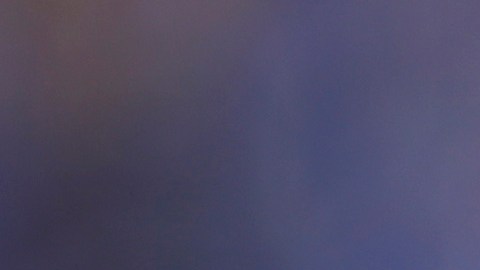 Herrera no tuvo un buen paso por Tigres de la UANL, su último club.