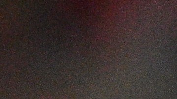 McKennie llegará al Leeds United.