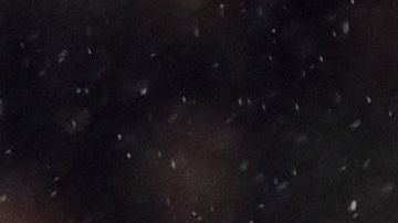 El delantero mexicano Santiago Giménez es figura del Feyernoord de la Eridivisie.