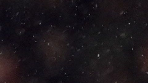 Santiago Giménez celebrando tras un partido del Feyenoord en la UEFA Europa League.