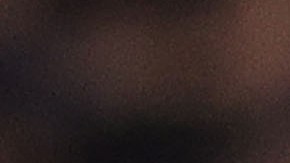 Davide Nicola durante un partido de la Serie A entre Salernitana y Fiorentina.