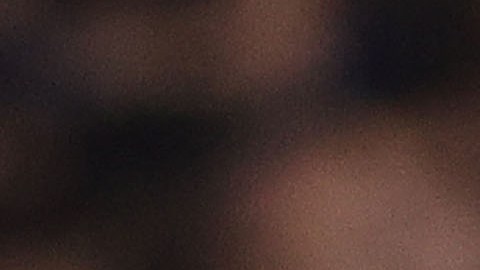 Davide Nicola durante un partido de la Serie A entre Salernitana y Fiorentina.