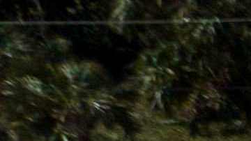 A casi cuatro meses de la devastación por el huracán Ian, encuentran restos de mujer que se encontraba desaparecida